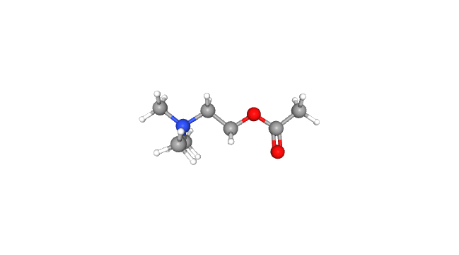 acetylcholine