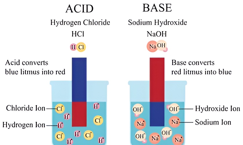 acid and base